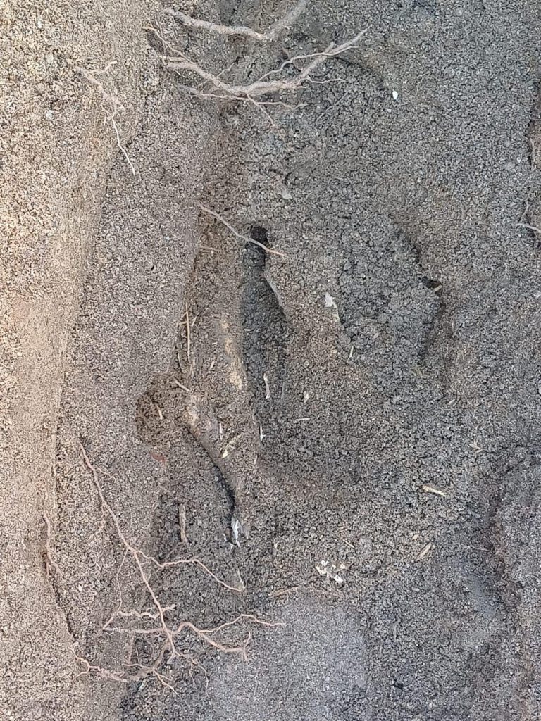 Reemplazo de Tuberías de Fibrocemento: Saiplén Duradero 6